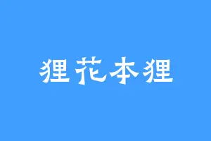 狸花本狸