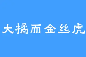 非大橘而金丝虎也