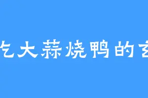 爱吃大蒜烧鸭的玄晶