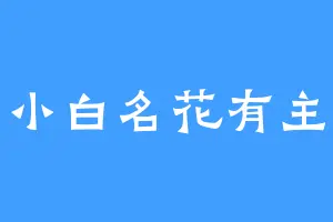 小白名花有主