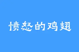 愤怒的鸡翅