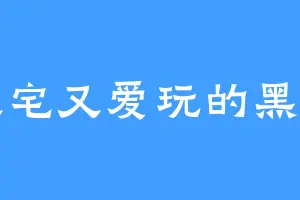 又宅又爱玩的黑鸦