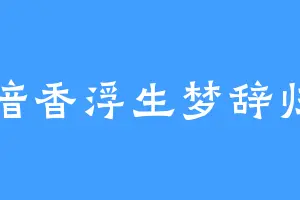 暗香浮生梦辞归