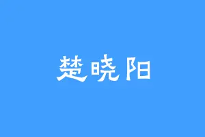 楚晓阳