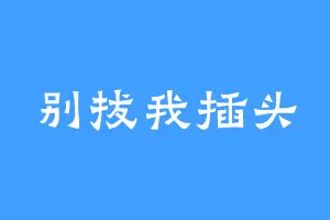 别拔我插头