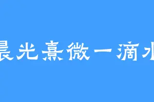 晨光熹微一滴水