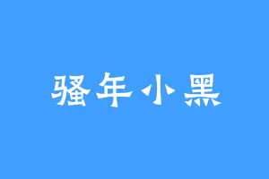 骚年小黑