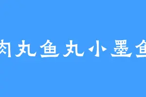 肉丸鱼丸小墨鱼