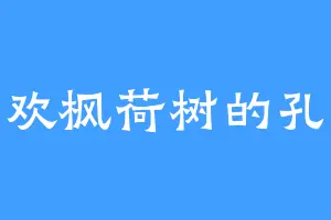 喜欢枫荷树的孔辉