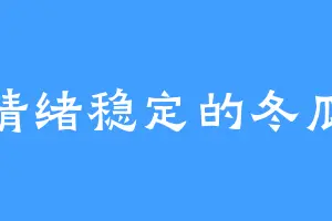 情绪稳定的冬瓜