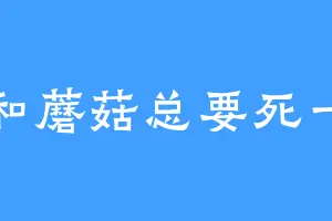 我和蘑菇总要死一个