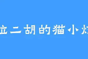 拉二胡的猫小炫
