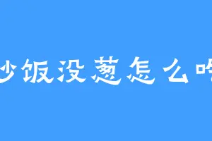 炒饭没葱怎么吃
