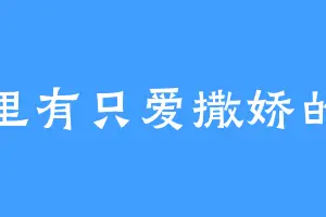 家里有只爱撒娇的猫