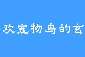 喜欢宠物鸟的玄罗