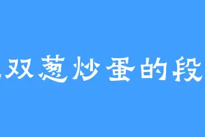 爱吃双葱炒蛋的段小姐