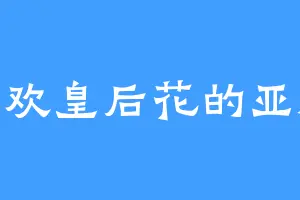 喜欢皇后花的亚飓