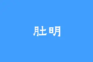 肚明