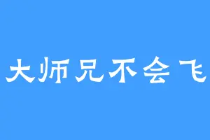 大师兄不会飞