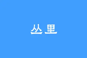 丛里