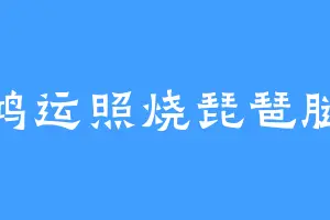 鸿运照烧琵琶腿