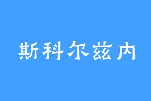 斯科尔兹内