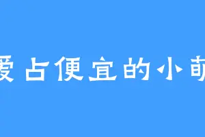 不爱占便宜的小萌新