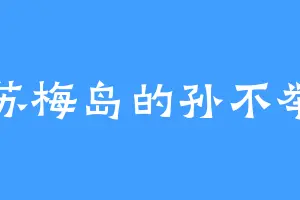 苏梅岛的孙不举