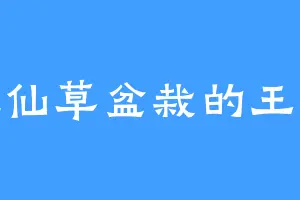 爱吃仙草盆栽的王大花