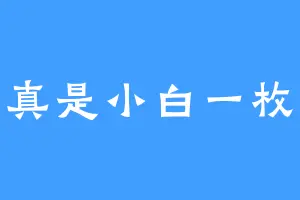 我真是小白一枚啊