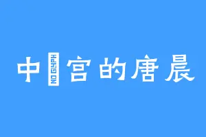 中珅宫的唐晨
