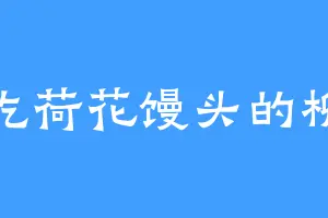 爱吃荷花馒头的柳溪