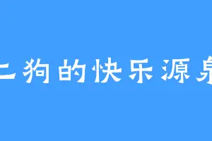 二狗的快乐源泉