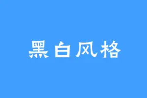 黑白风格