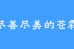 尽善尽美的苍霖