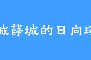 薛城薛城的日向瑛斗