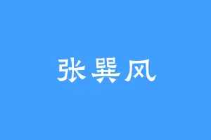 张巽风
