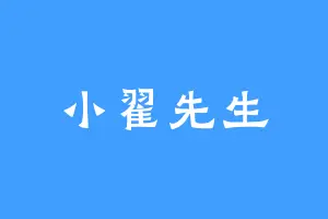 小翟先生