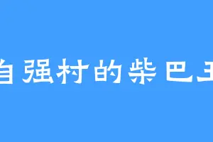 自强村的柴巴王