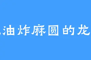 爱吃油炸麻圆的龙三千