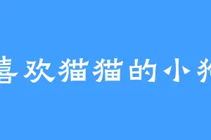 喜欢猫猫的小狗