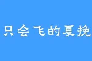 一只会飞的夏挽墨