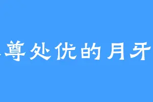 养尊处优的月牙泪