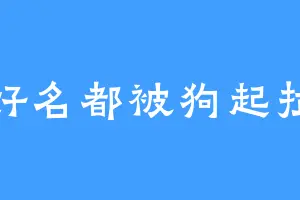 好名都被狗起拉