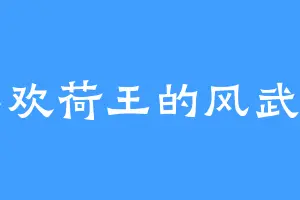 喜欢荷王的风武国