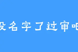 没名字了过审吧