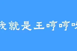 我就是王哼哼呀