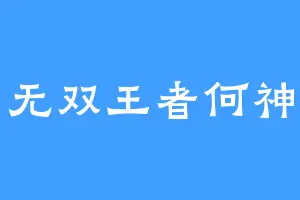 无双王者何神