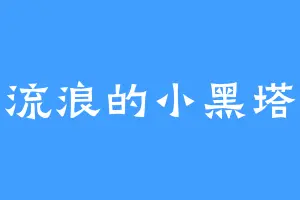 流浪的小黑塔