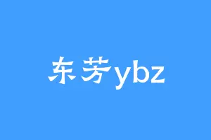 东芳ybz